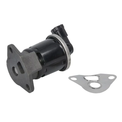 Afbeelding van NTK EGR klep 96007