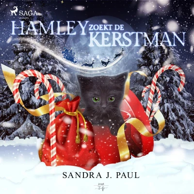 Afbeelding van Hamley zoekt de kerstman