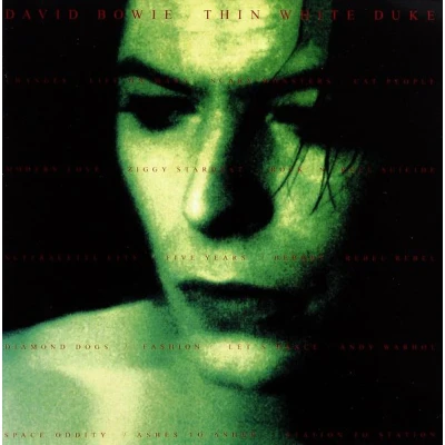 Afbeelding van David Bowie: Thin White Duke [CD]
