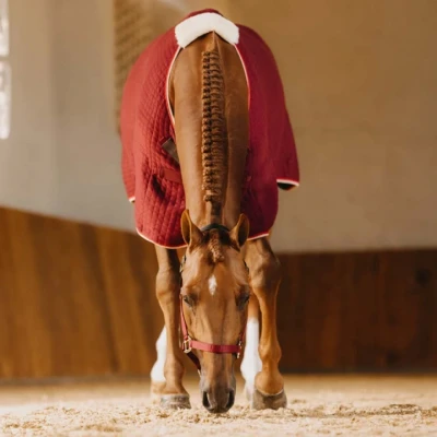 Afbeelding van Kentucky Cooler rug PROTherm Bordeaux