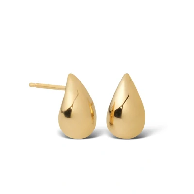 Afbeelding van Casa TN.0166.00 DROP S SHINY GOUD Oorbellen inStock horloge Goudkleur