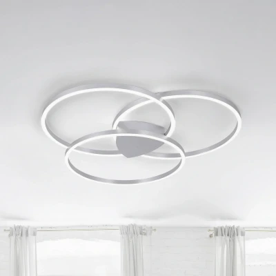 Afbeelding van Paul Neuhaus Plafondlamp Q Kate design rond 6579 95