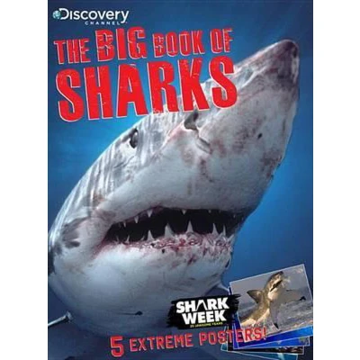 Afbeelding van The Big Book of Sharks