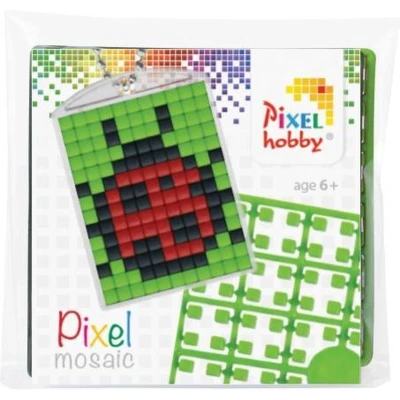 Afbeelding van Pixelhobby medaillon startset Lieveheersbeestje