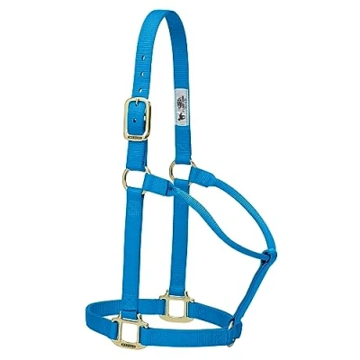 Afbeelding van Weaver Leather Originele niet verstelbare nylon paardenhalter, jaarling, orkaan blauw