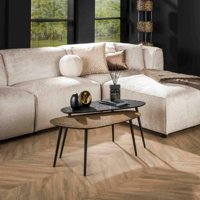Afbeelding van Fraaai Lazio salontafel ovaal grijs/goud set van 2 Metaal