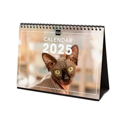 Afbeelding van Finocam Kalender met afbeeldingen bureauformaat internationaal 2025 maandweergave januari december (12 maanden) Cats