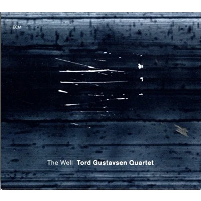 Afbeelding van Tord Gustavsen Quartet The Well (CD)