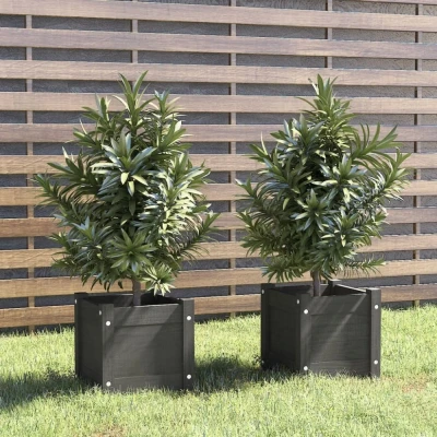 Afbeelding van Plantenbakken 2 st 31x31x31 cm massief grenenhout grijs