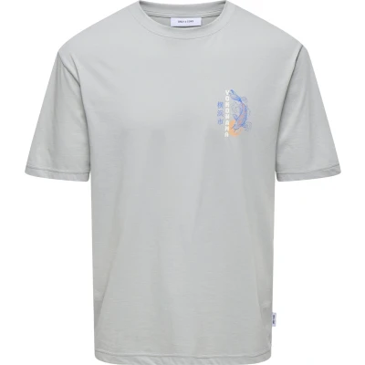 Afbeelding van Only &amp; Sons Onskeane Rlx Ss Printed Tee Ss24 No 22030973 Lichtgrijs Heren The Stone