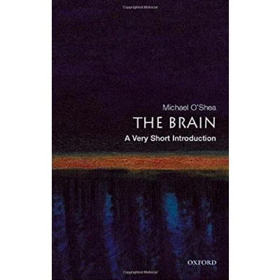 Afbeelding van The Brain: A Very Short Introduction