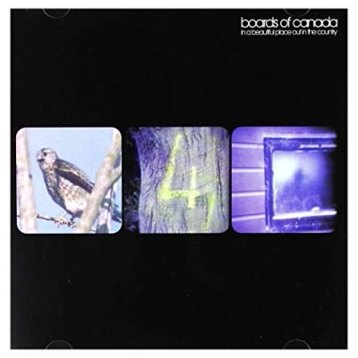 Afbeelding van Boards of Canada In a Beautiful Place Out the Country (Single)