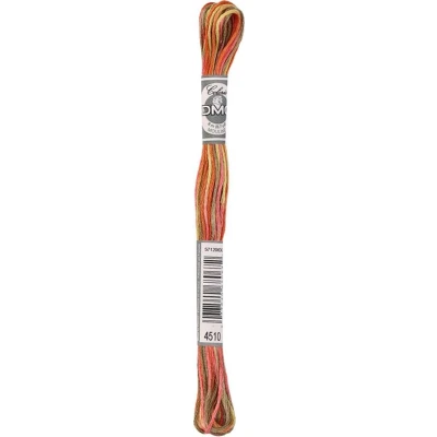 Afbeelding van DMC Mouline Coloris