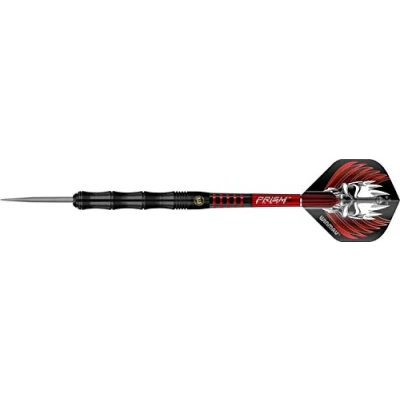 Afbeelding van WINMAU Mervyn King Signature Edition: Steeltip Tungsten Dartpijlen Professioneel 24g