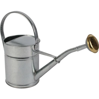 Afbeelding van Gieter Metaal 2L Zink Talen Tools