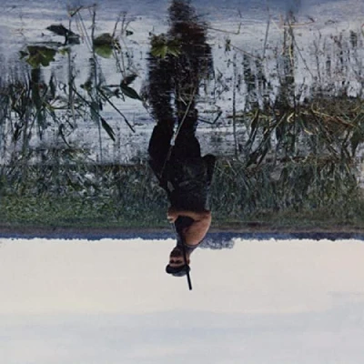 Afbeelding van Knifeplay Animal Drowning (2 LPs)