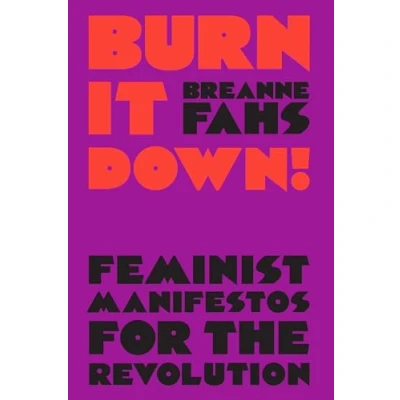 Afbeelding van Burn It Down!: Feminist Manifestos for the Revolution
