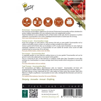 Afbeelding van Patio Veggies, Tomaat Gourmandise Red