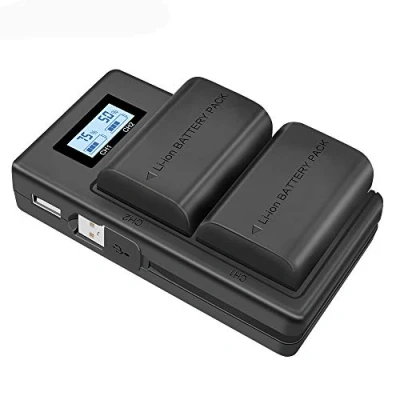 Afbeelding van PALO LP E6 vervangende accu en snellader, dual USB, 2000 mAh, voor Canon EOS 5D Mark II/III/IV, 5DS, 6D, 7D, 7D II, 60D, 60Da, 70D