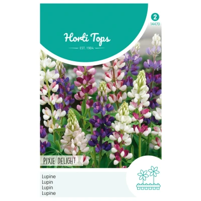 Afbeelding van Lupinus, Lupine Pixie Delight