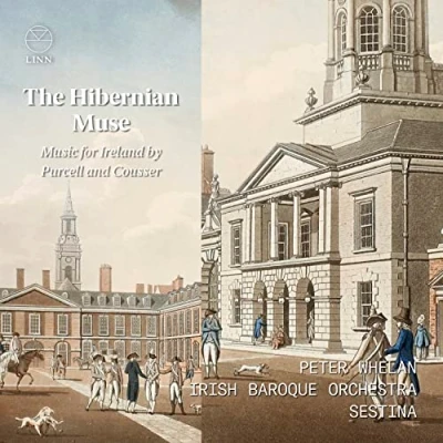 Afbeelding van Irish Baroque Orchestra, Peter Whelan &amp; Sestina The Hibernian Muse. Music For Ireland By Purcell And Cousser (CD)