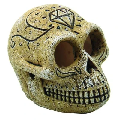 Afbeelding van Superfish Skull Monkey