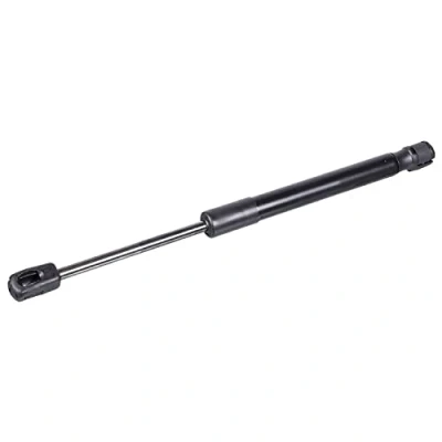 Afbeelding van Febi Bilstein Gasveer 104116