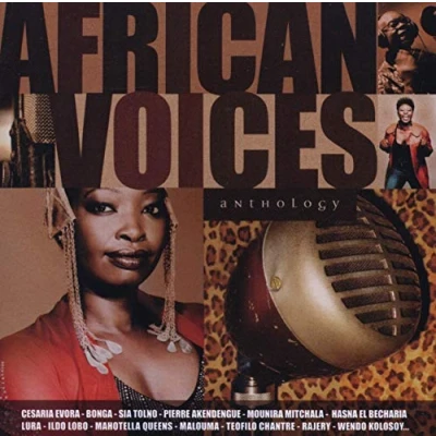 Afbeelding van Various Artists African Voices Anthology (CD)