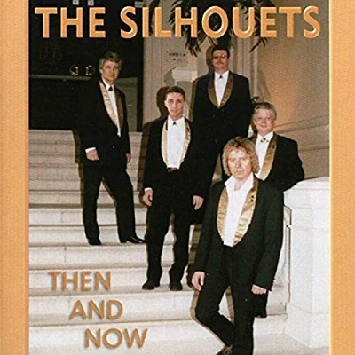 Afbeelding van The Silhouets Then And Now (Best Of Album)