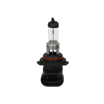 Afbeelding van Bosch Gloeilamp koplamp / mistlicht 1 987 302 153