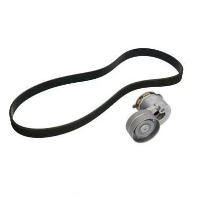 Afbeelding van Ina Poly V riemen kit 529 0088 10
