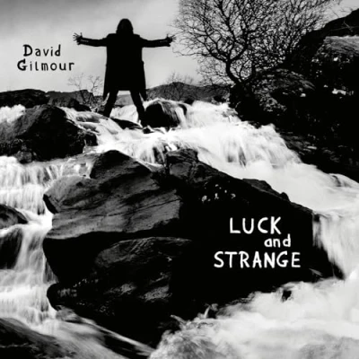 Afbeelding van David Gilmour Luck And Strange (LP)