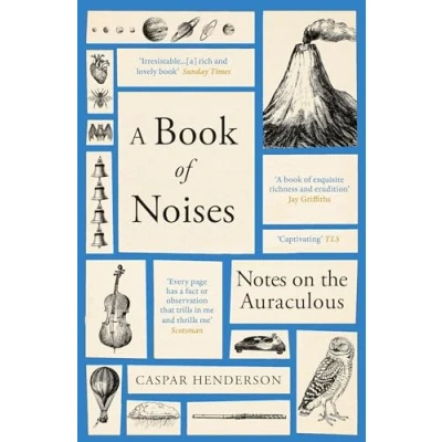 Afbeelding van A Book of Noises