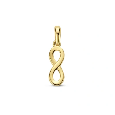 Afbeelding van 14K geelgoud hanger infinity 4027995