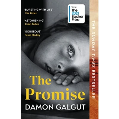 Afbeelding van The Promise