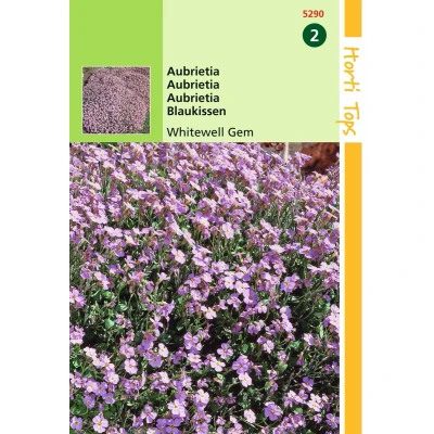 Afbeelding van 2 stuks Hortitops Aubrietia Hybrida Grfl.Whitewell Gem