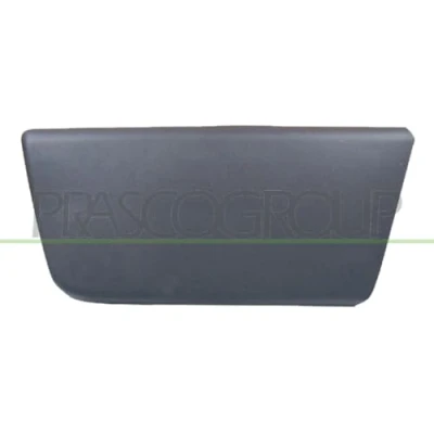 Afbeelding van Sier / beschermingspaneel, deur PRASCO FT9301404