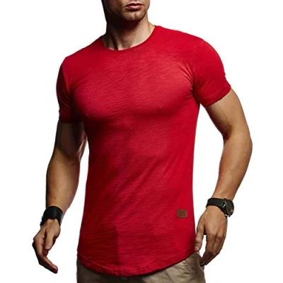 Afbeelding van Leif Nelson T shirt voor heren, zomer, ronde hals, regular fit, 100% katoen, basic heren shirt, casual rood, XXL