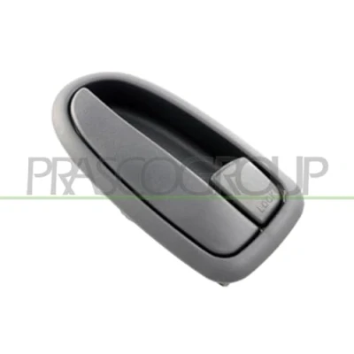 Afbeelding van Handgreep, interieur PRASCO HN7158601