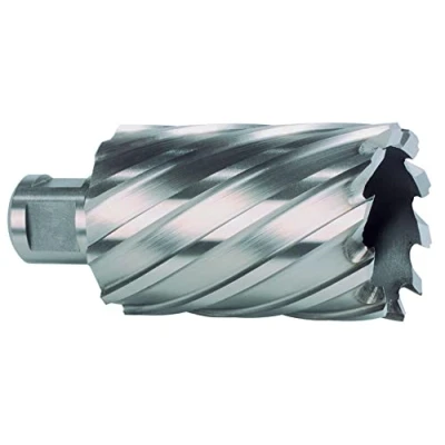 Afbeelding van Ruko HSS holle boor met Weldon schacht diepte 55 mm (16 mm) 108516