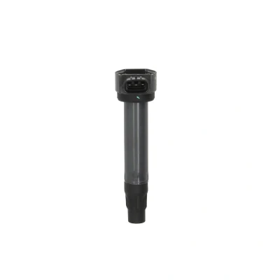 Afbeelding van Delphi Diesel Bobine GN10519 12B1