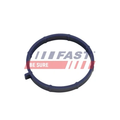 Afbeelding van FAST FT49467 Inlaatspruitstuk Pakking FORD: Transit Mk6 Van