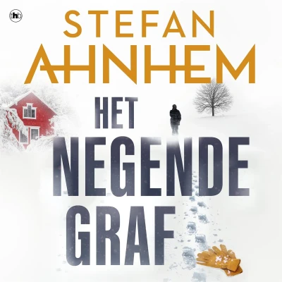 Afbeelding van Het negende graf