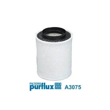 Afbeelding van PURFLUX A3075 Luchtfilter 203mm 163mm Filter insert AUDI: A8 D4 (4H2, 4H8, 4HC, 4HL) 4.0 TFSI quattro, 2.0 hybrid, 2.5