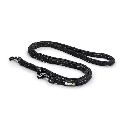 Afbeelding van Hondenriem met reflecterende strepen Verstelbare riem dubbele leiband reflecterend Trainingsleiband