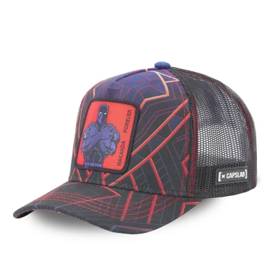 Afbeelding van Capslab Marvel Black Panther Cap CL MAR3 1 PAN1, Mannen, Zwart, Pet, maat: One size