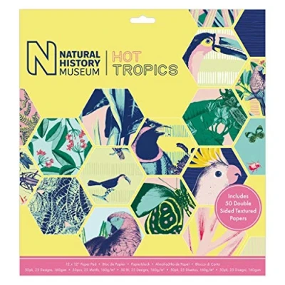 Afbeelding van 12 x 12&quot; Paper Pad (50pk) Hot Tropics