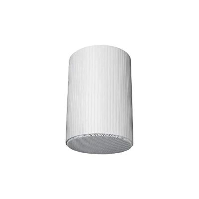 Afbeelding van DAP HS 620M 20W 6&quot; Hanging Speaker