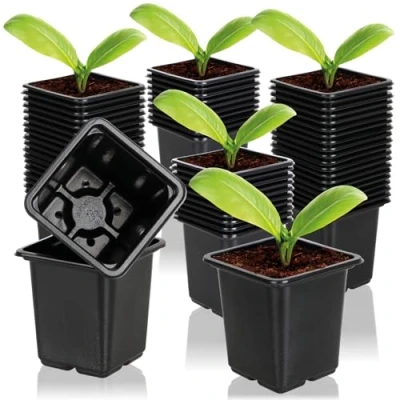 Afbeelding van COM FOUR® 60x kweekpotten voor planten plantenpotten kweek bloempot plantenteelt (060 stuks kweekpot 7,5x8cm)