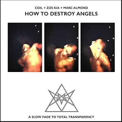 Afbeelding van How To Destroy Angels
